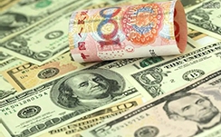 蟋蟀又称什么名字